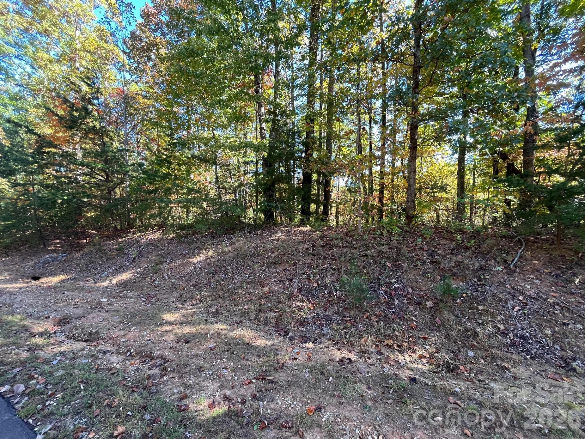 V/L Heartwood Drive - Photo 2