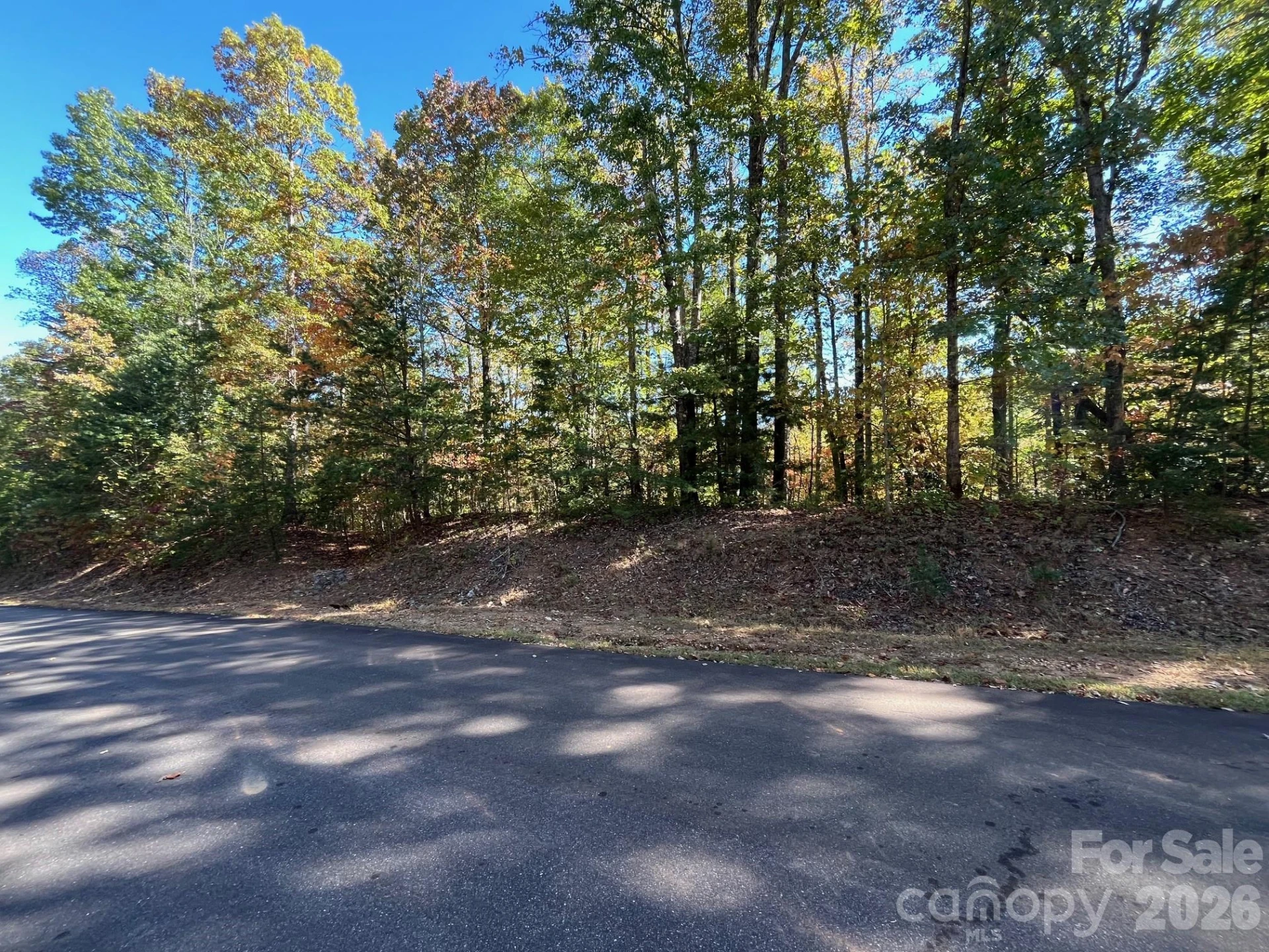 V/L Heartwood Drive - Photo 3