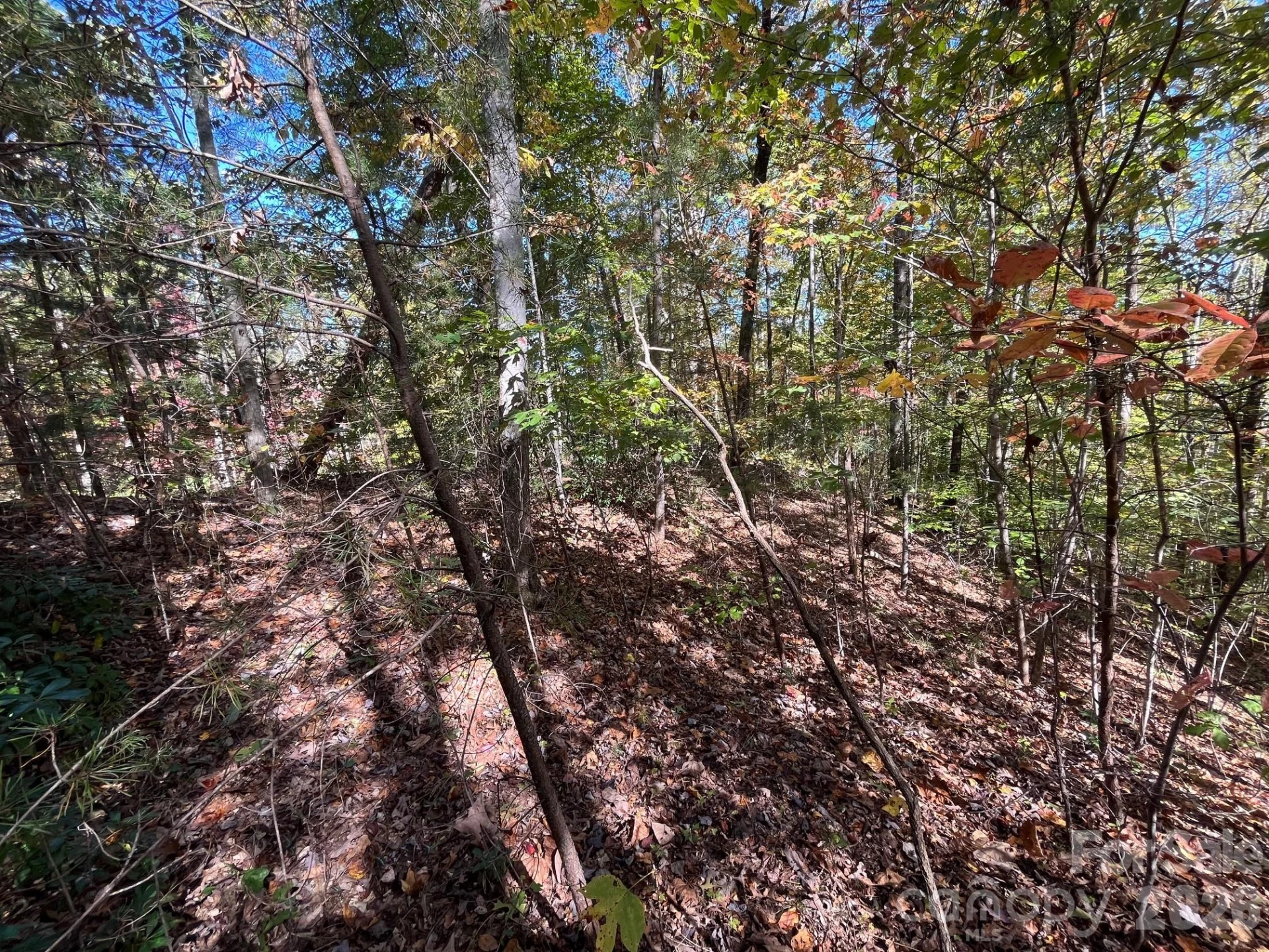 V/L Heartwood Drive - Photo 4