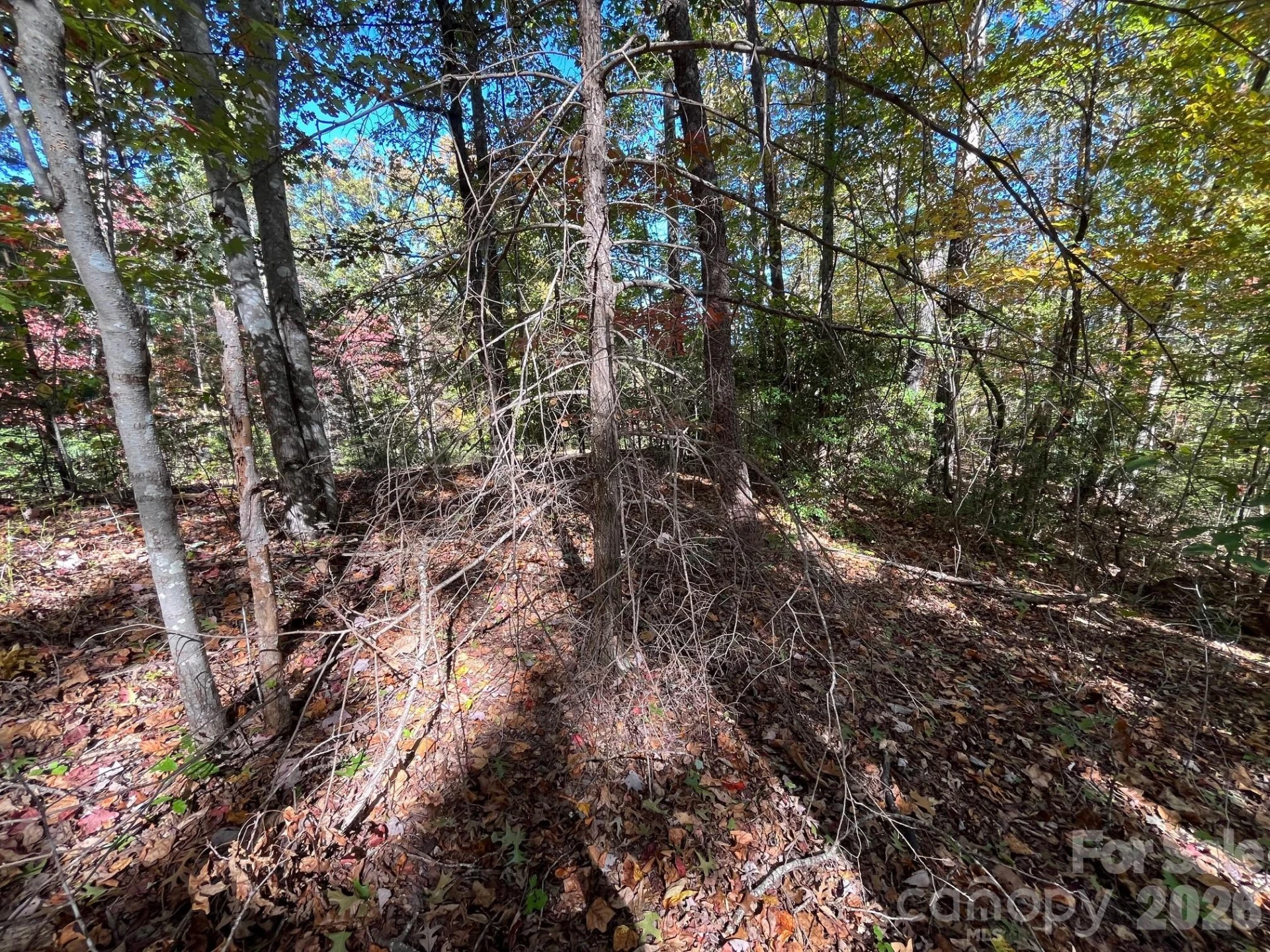 V/L Heartwood Drive - Photo 8