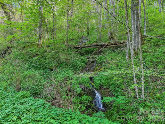 00 Star Crest Drive, Waynesville, NC, 28785