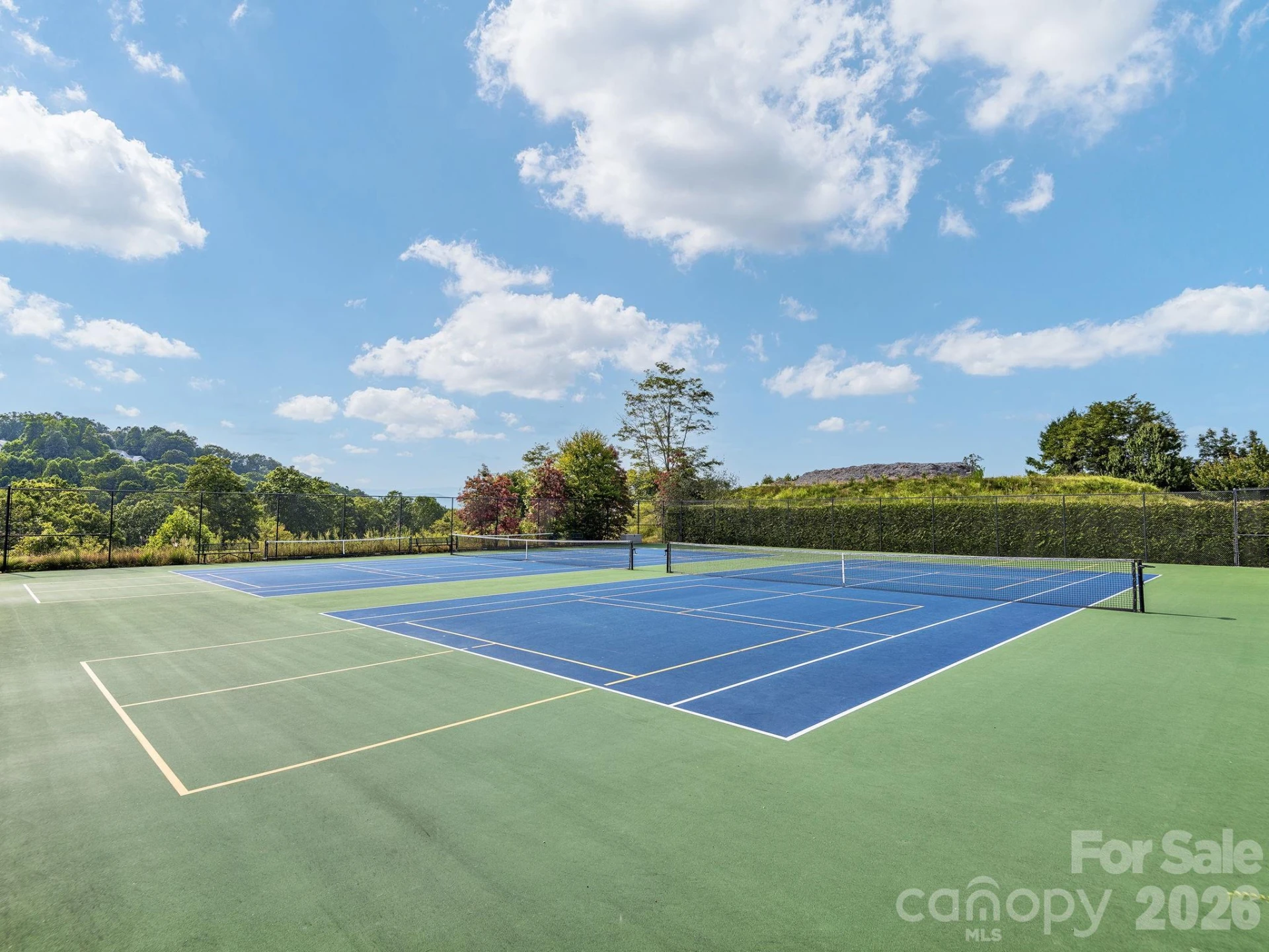 54 Deep Valley Lane - Photo 29