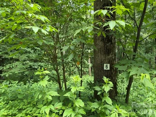 Lot 6 Gadohi Trail, Maggie Valley, NC, 28751