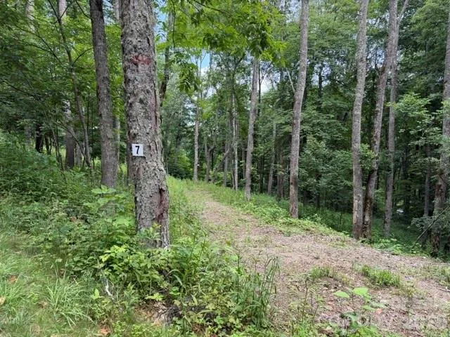 Lot 7 Gadohi Trail, Maggie Valley, NC, 28751