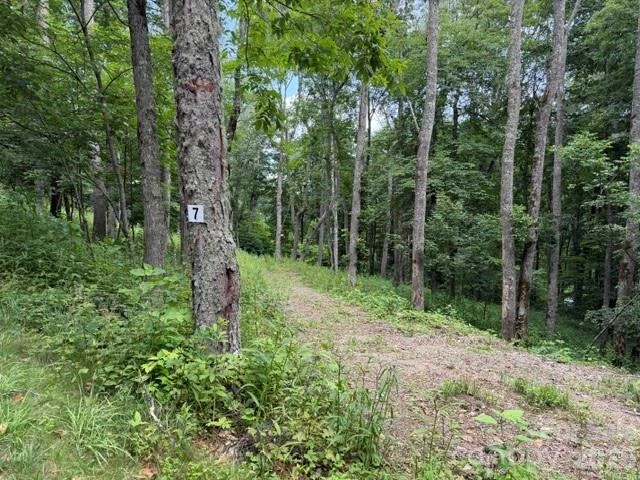 Lot 7 Gadohi Trail #7