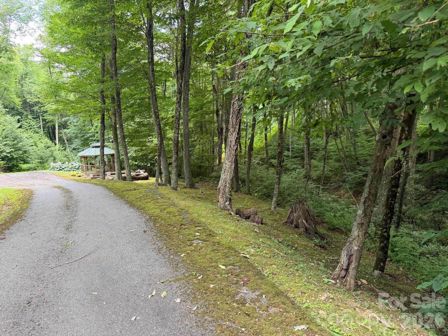 Lot 19 Iga Trail #19 - Photo 21