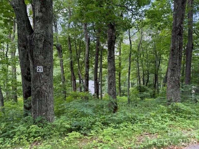 Lot 21 Odalu Trail, Maggie Valley, NC, 28751