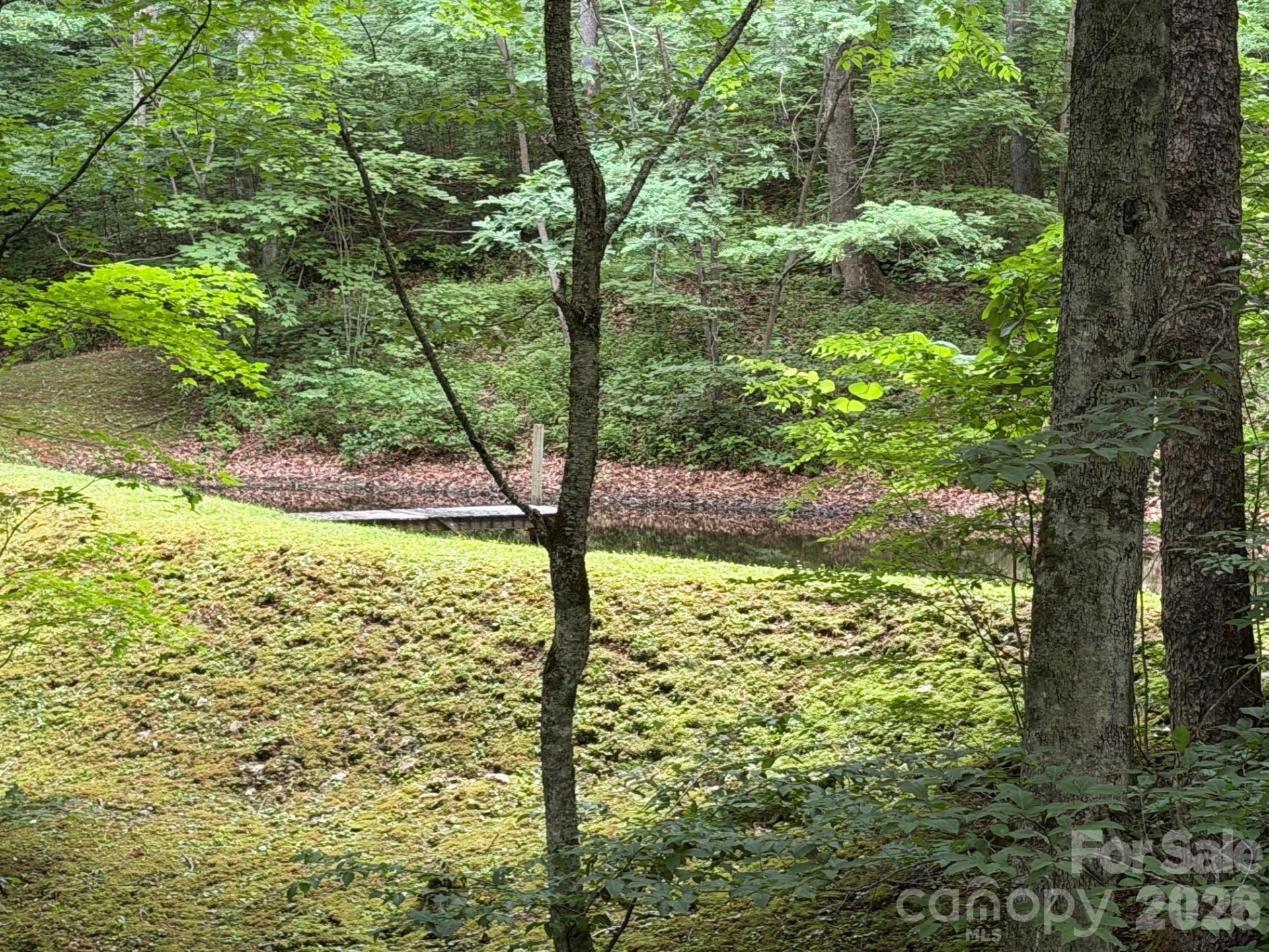 Lot 21 Odalu Trail #21 - Photo 16