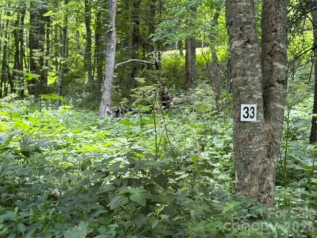 Lot 33 Toi Trail, Maggie Valley, NC, 28751