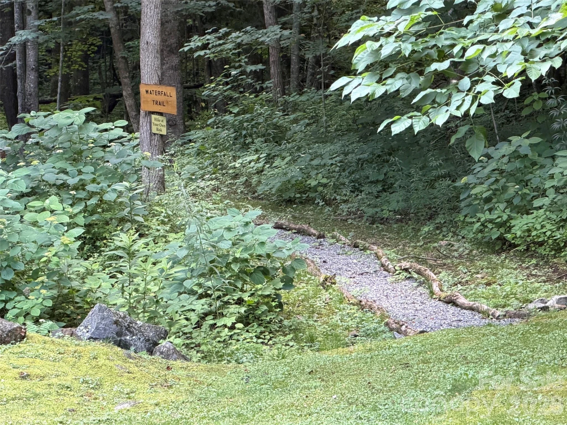 Lot 33 Toi Trail #33 - Photo 11