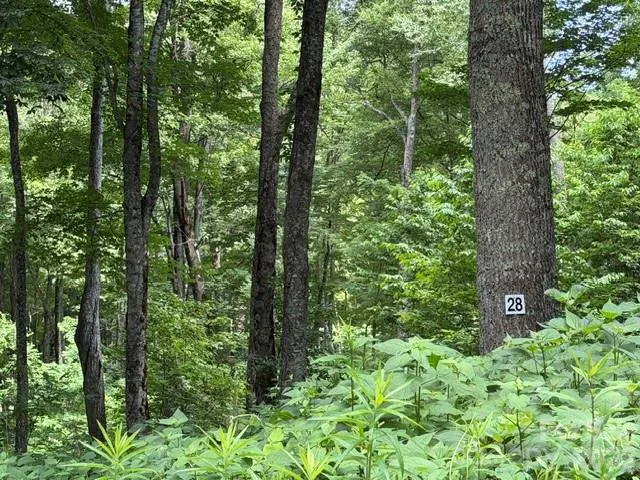 Lot 28 Toi Trail, Maggie Valley, NC, 28751