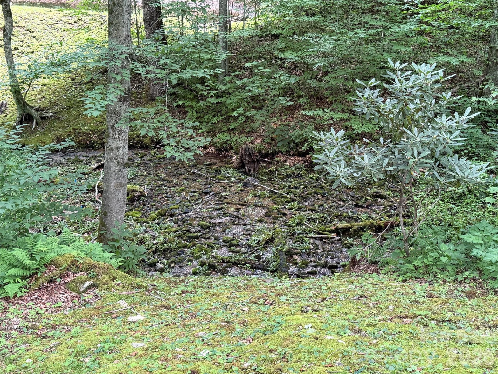 Lot 28 Toi Trail #28 - Photo 15