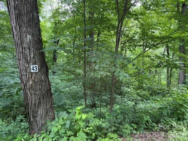 Lot 43 Gata Trail, Maggie Valley, NC, 28751