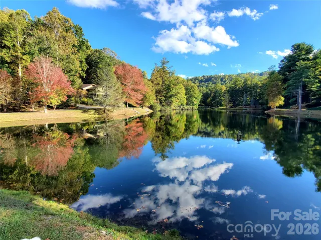 111 W Kindy Forest Drive, Hendersonville, NC, 28739