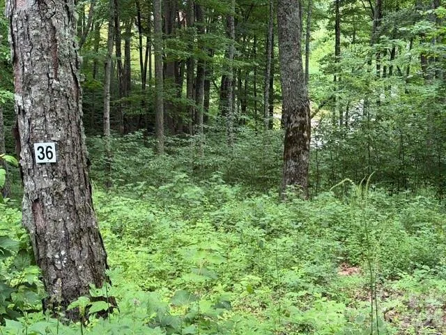 Lot 36 Odalu Trail