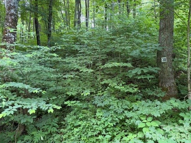 Lot 38 Yanasa Trail #38