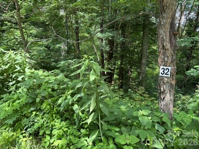15 Lots Odalu Trail - Photo 11