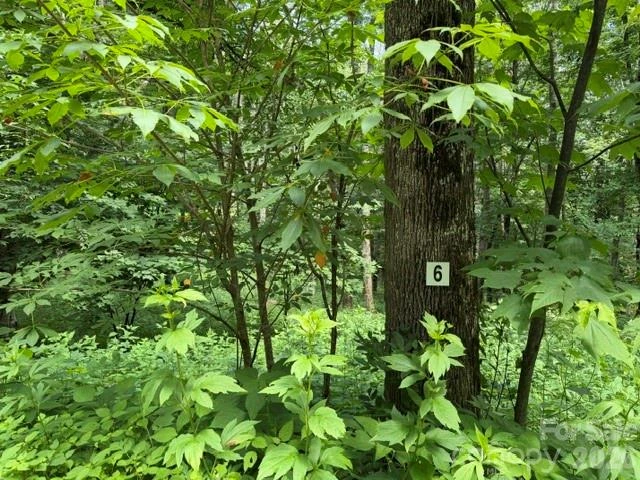 15 Lots Odalu Trail - Photo 18