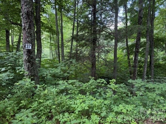 15 Lots Odalu Trail - Photo 7