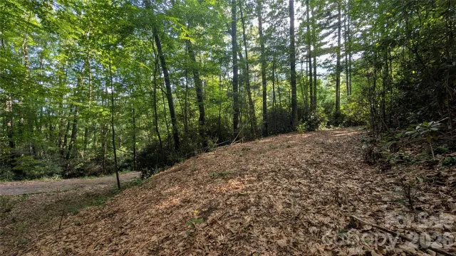 00 Chestnut Walk, Waynesville, NC, 28786