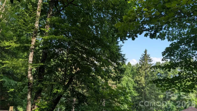 00 Chestnut Walk, Waynesville, NC, 28786