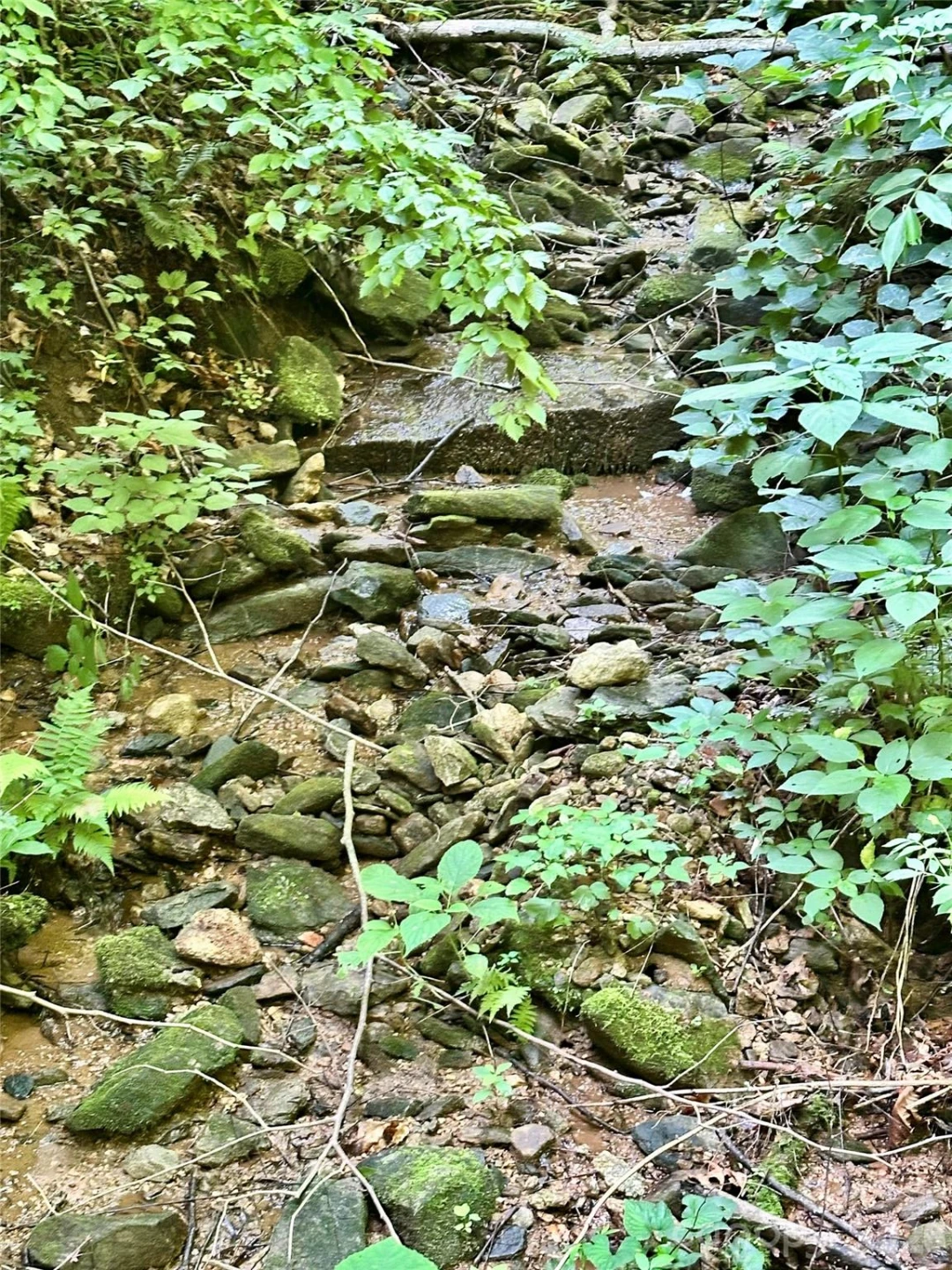 75 Fork Creek Road - Photo 14