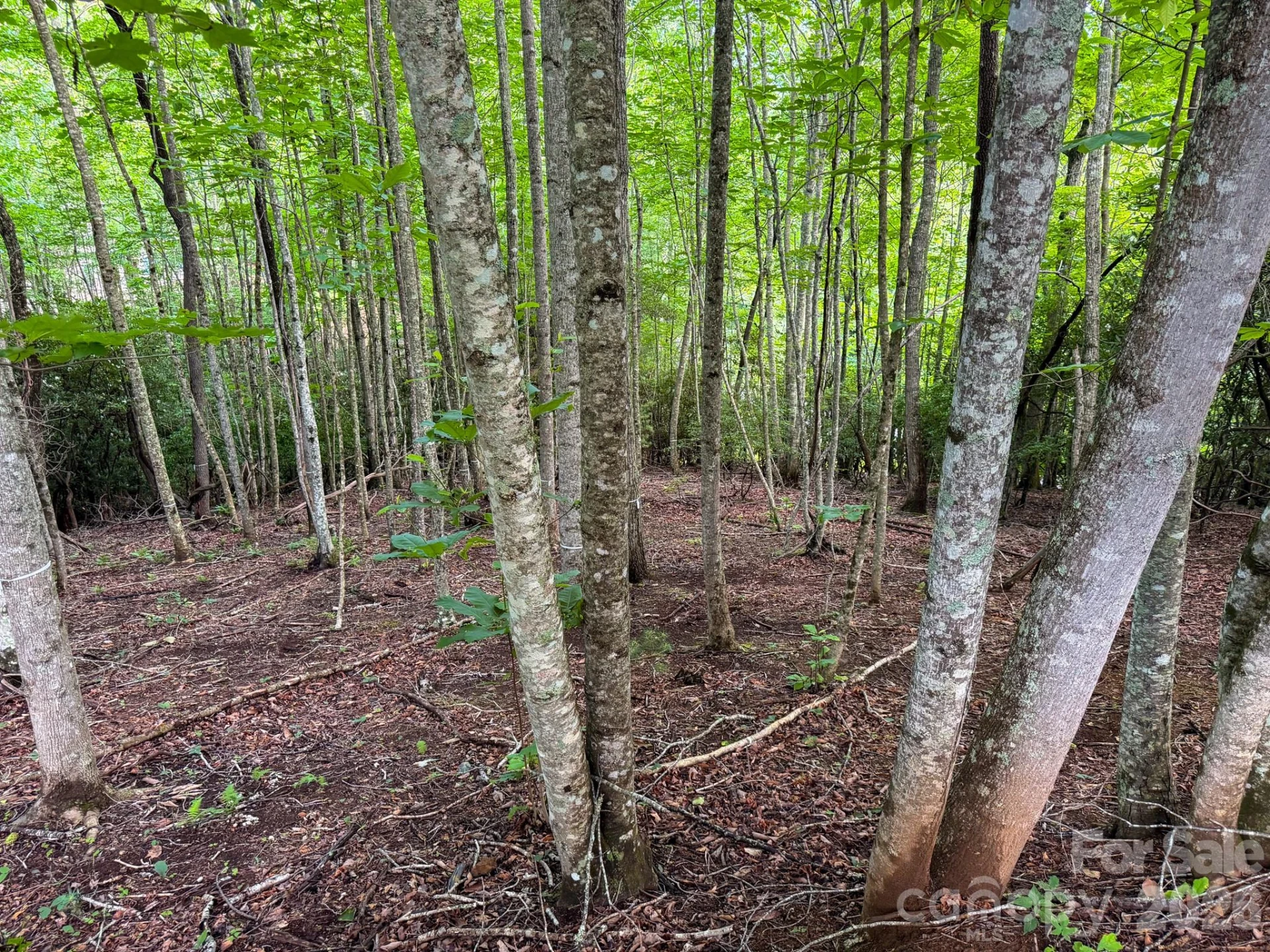 724 Streamside Drive - Photo 11