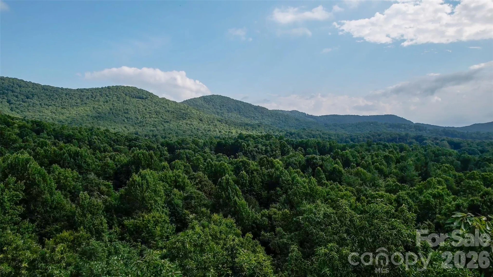 724 Streamside Drive - Photo 3