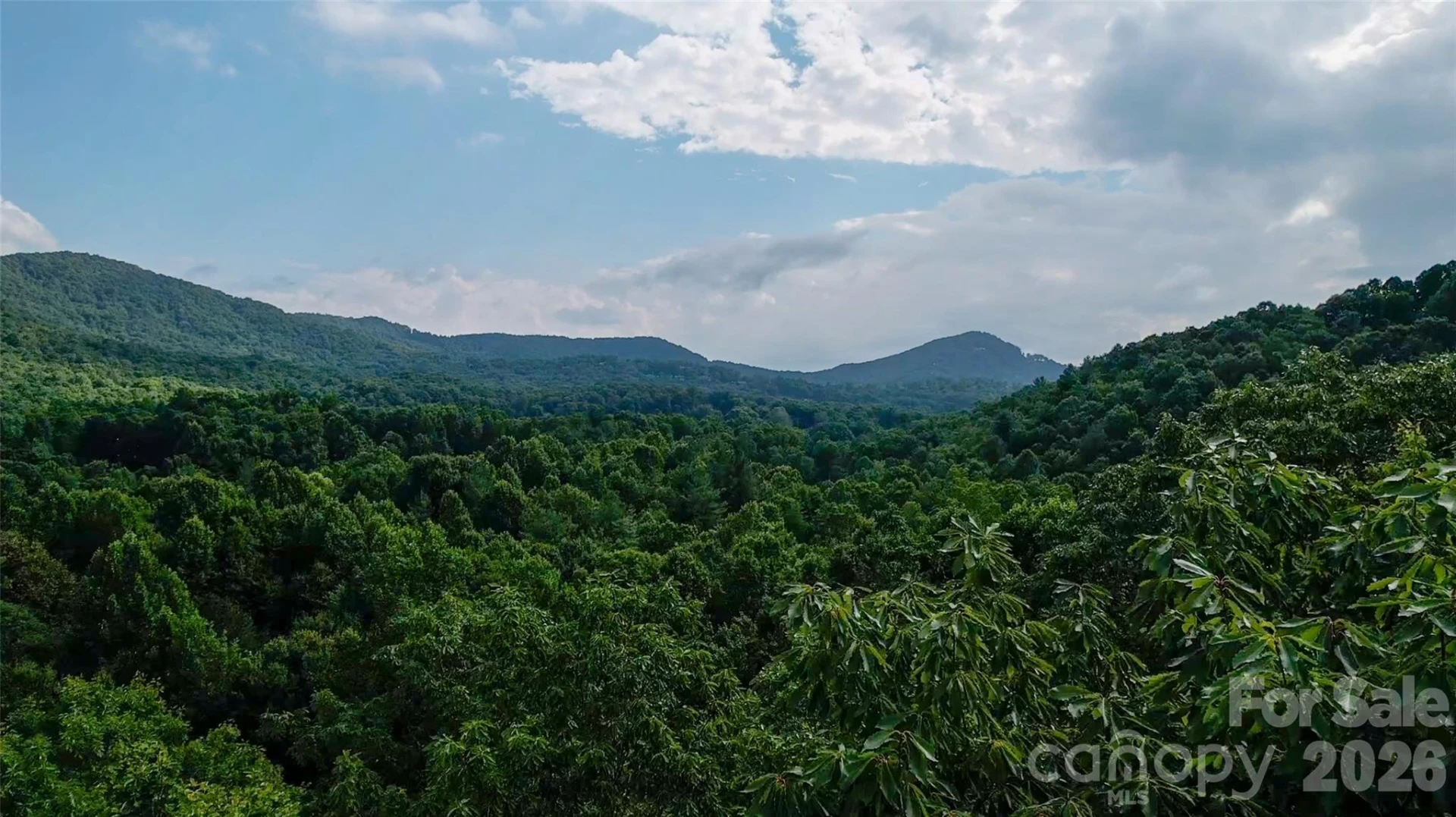 724 Streamside Drive - Photo 4