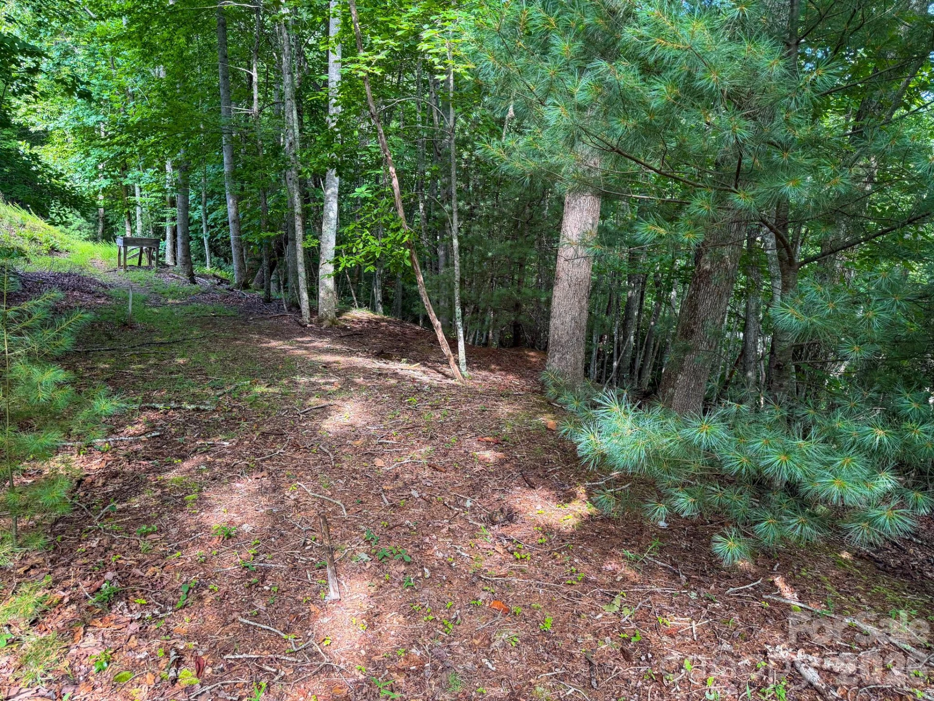 724 Streamside Drive - Photo 6