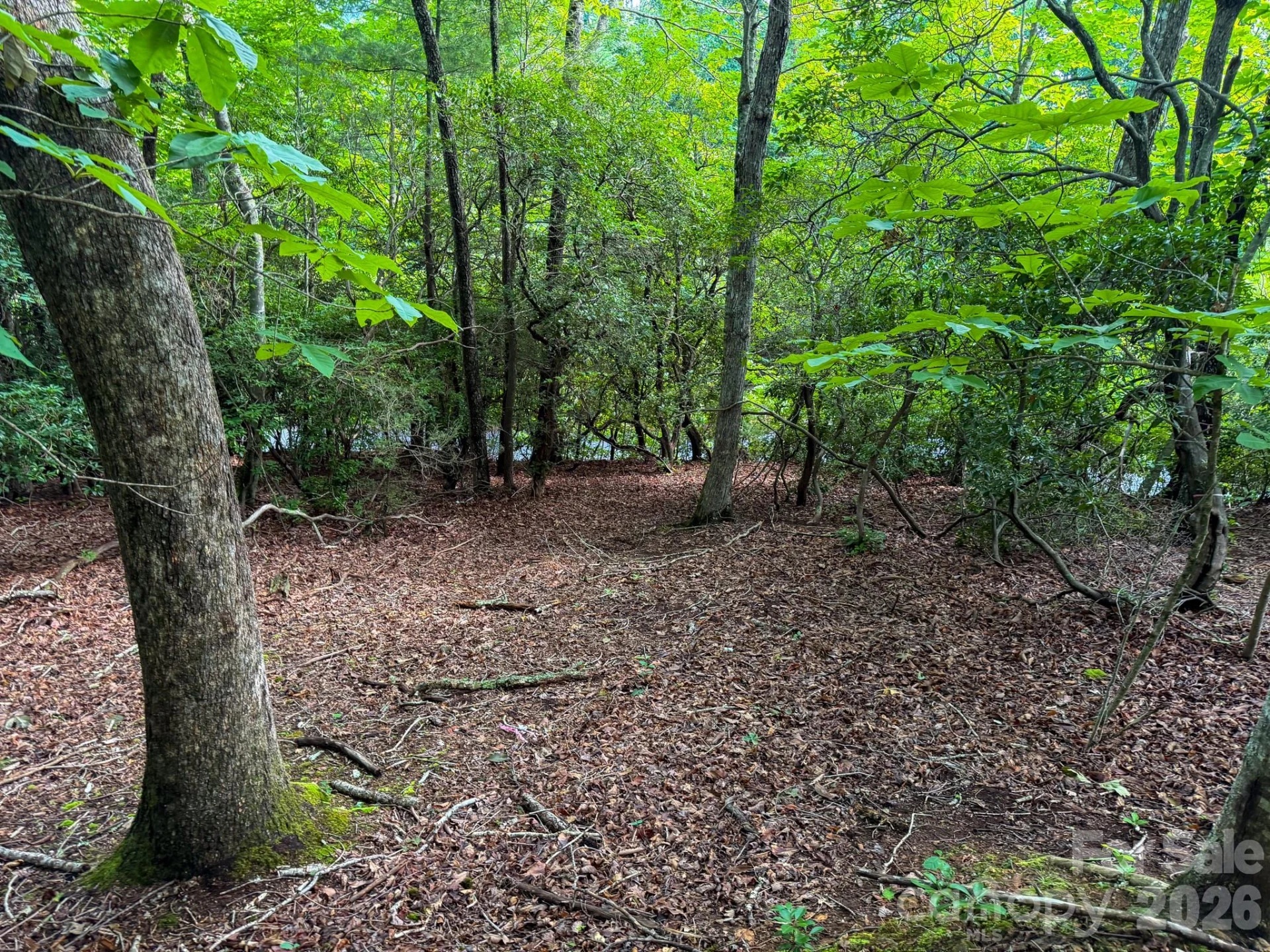 724 Streamside Drive - Photo 8