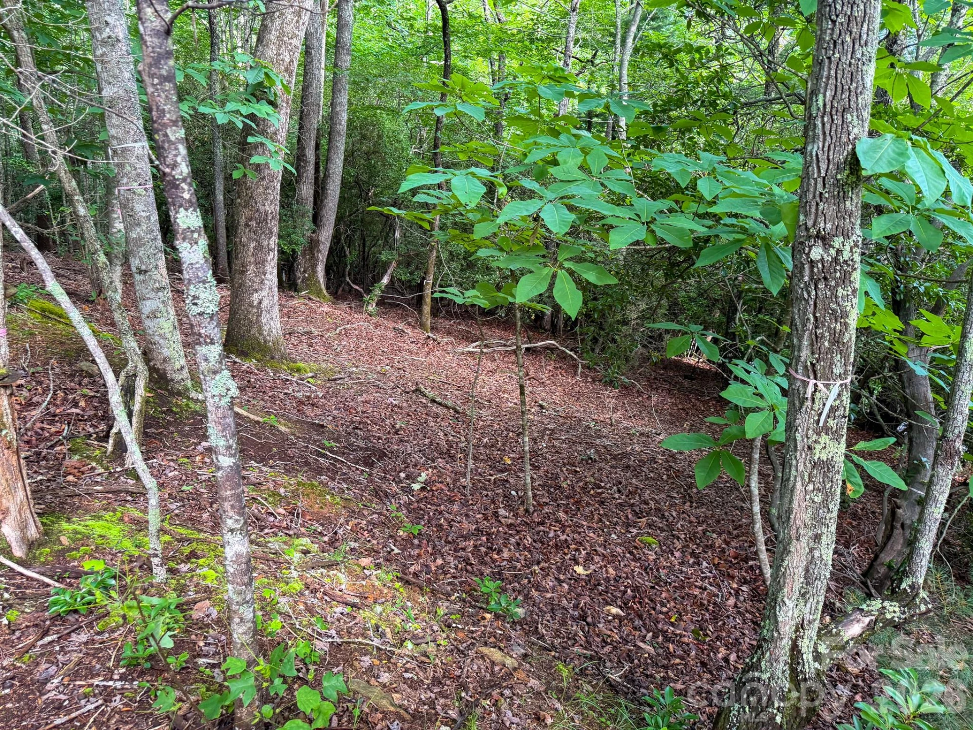 724 Streamside Drive - Photo 9