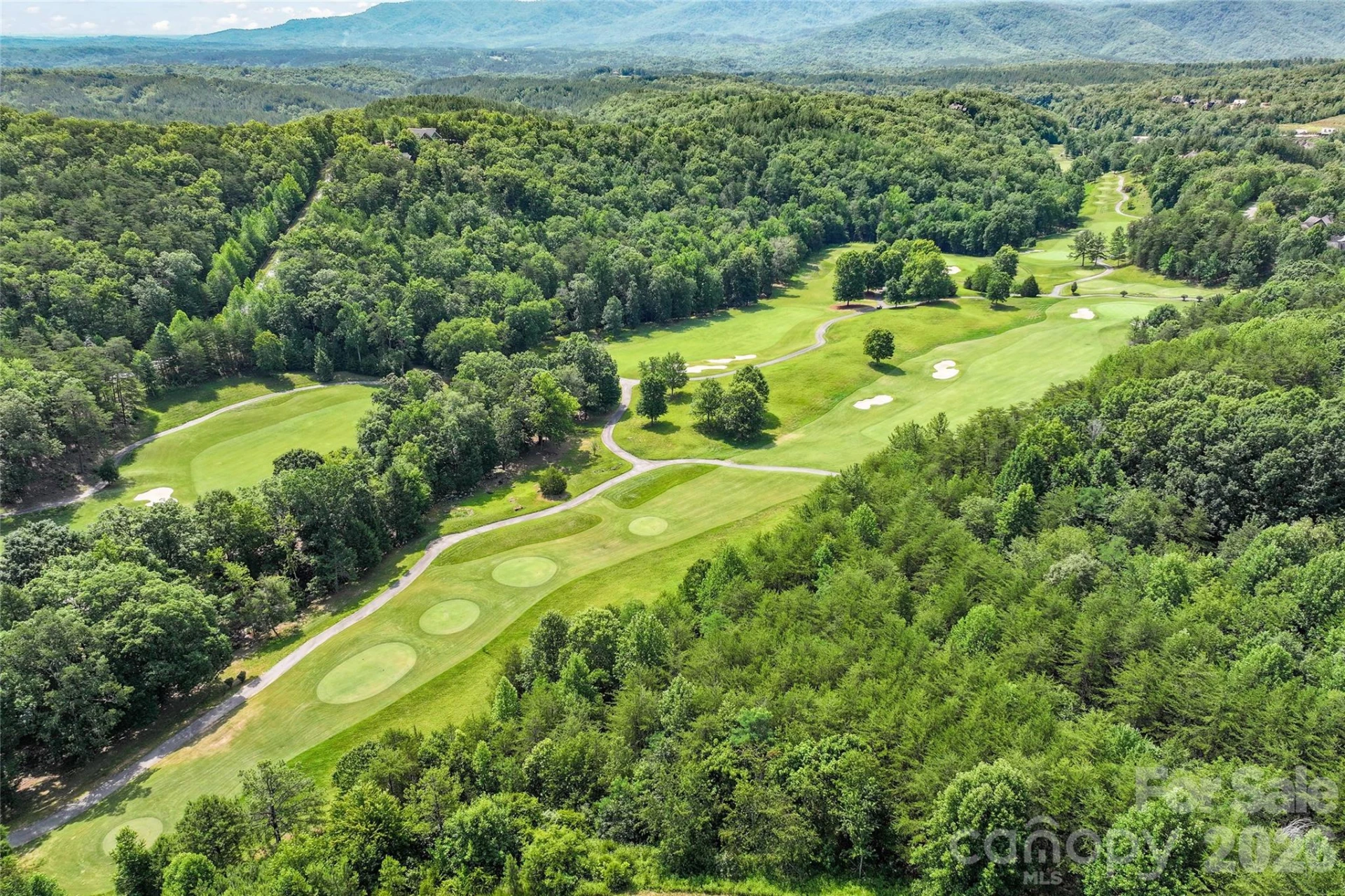 1361 E Deep Gap Farm Road - Photo 3