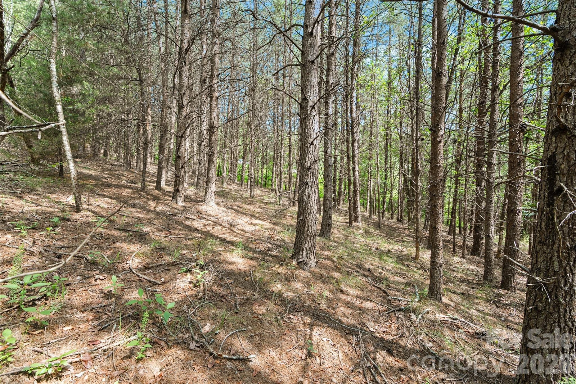 1361 E Deep Gap Farm Road - Photo 7