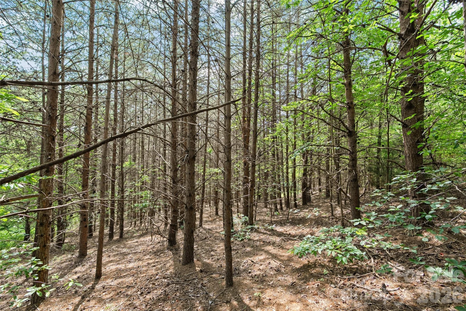 1361 E Deep Gap Farm Road - Photo 8