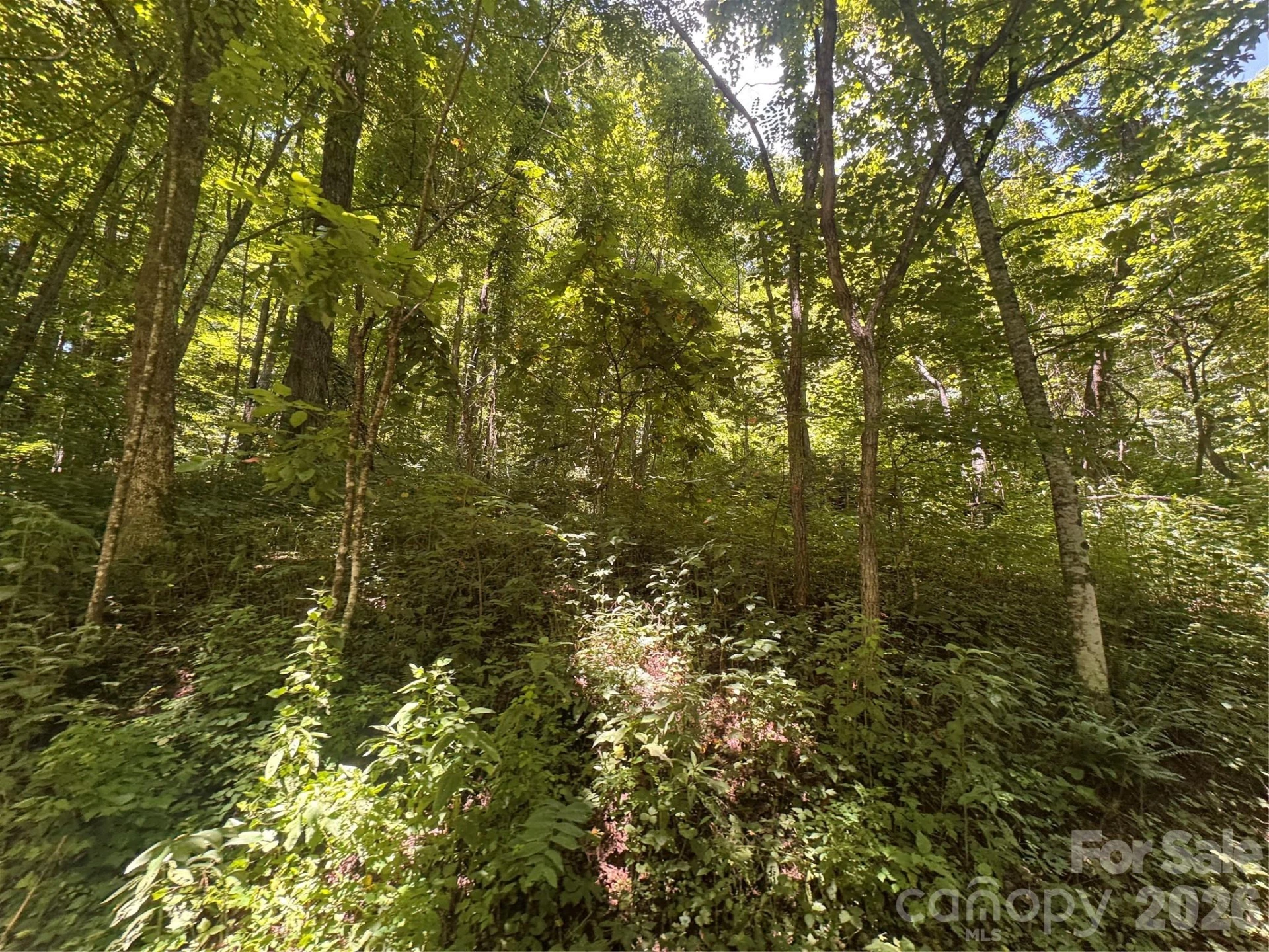 505 Mountainside Drive #27, 28, 29, 30, 31, 32 - Photo 12