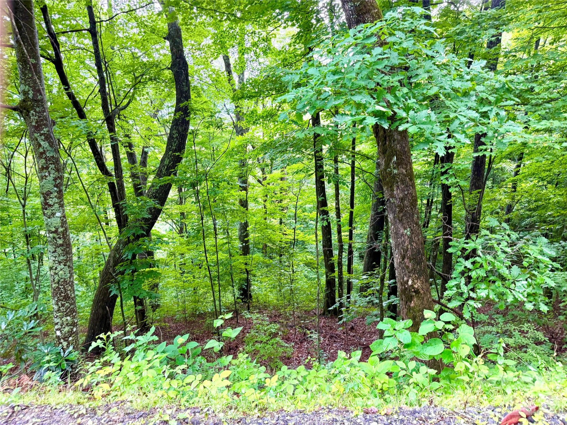 505 Mountainside Drive #27, 28, 29, 30, 31, 32 - Photo 15