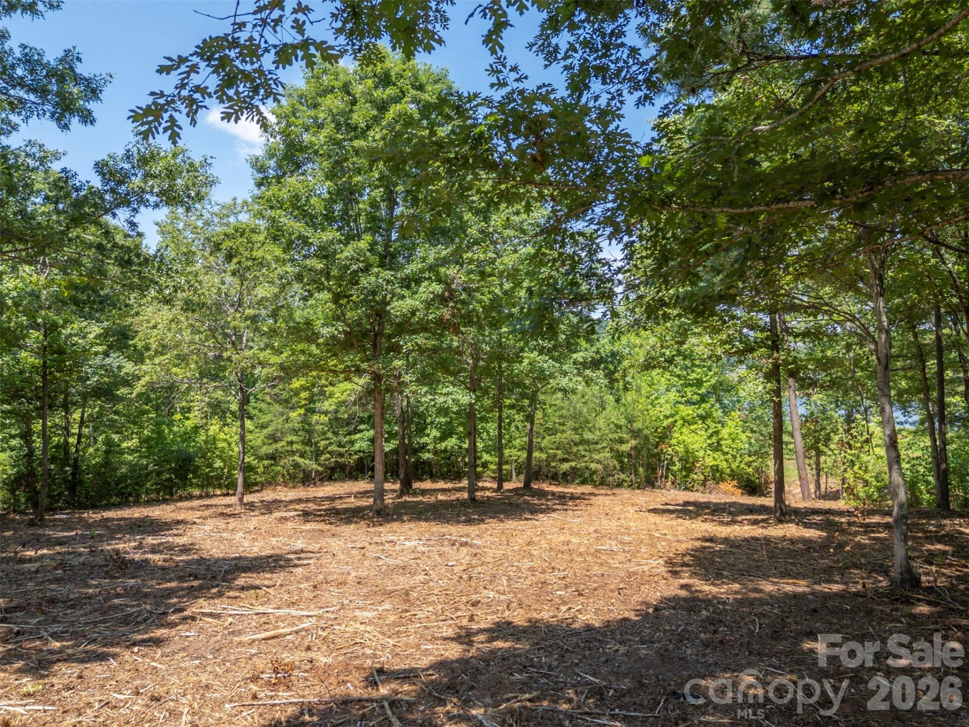 00 Doveridge Drive #66 - Photo 11
