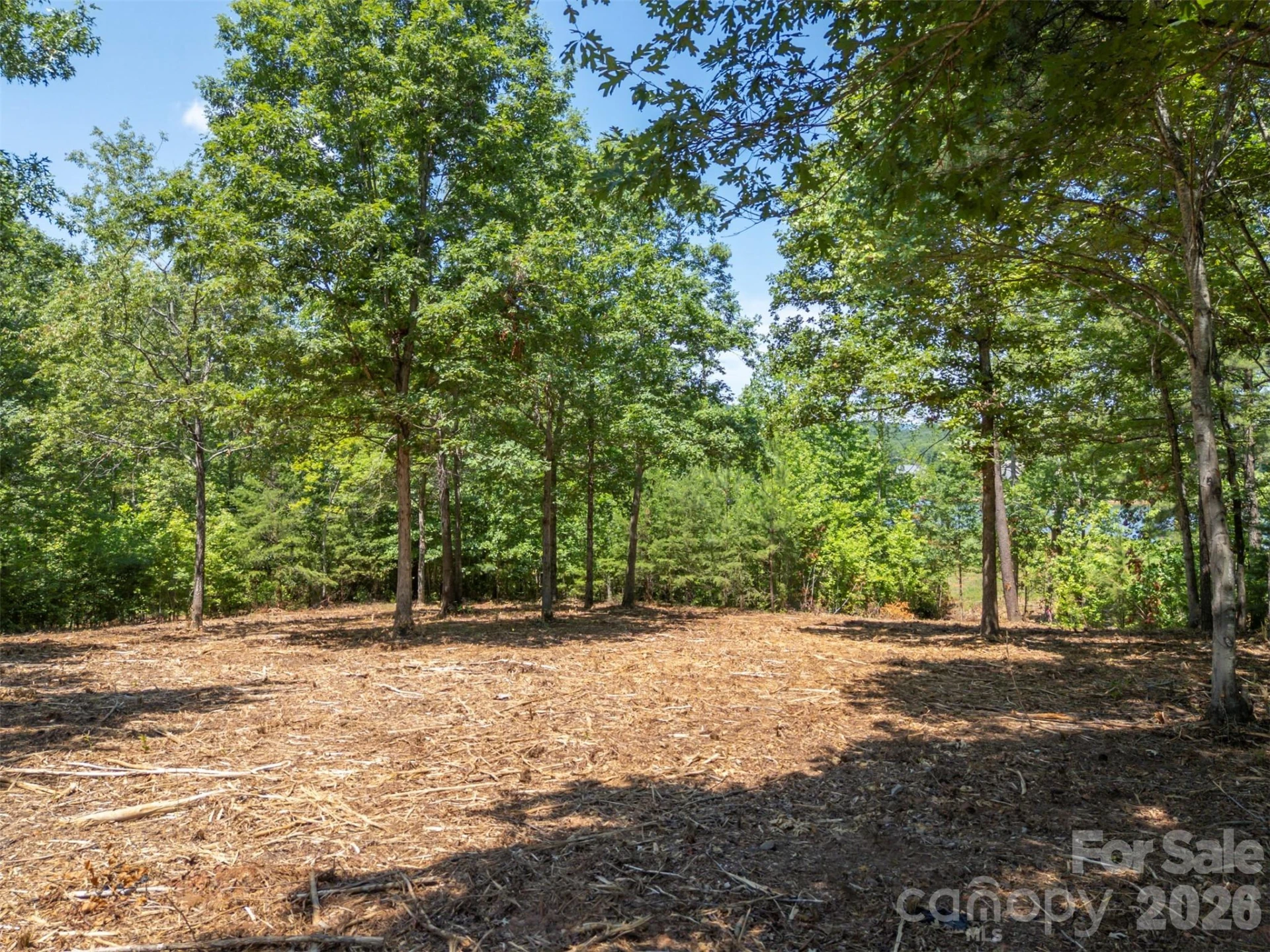 00 Doveridge Drive #66 - Photo 12