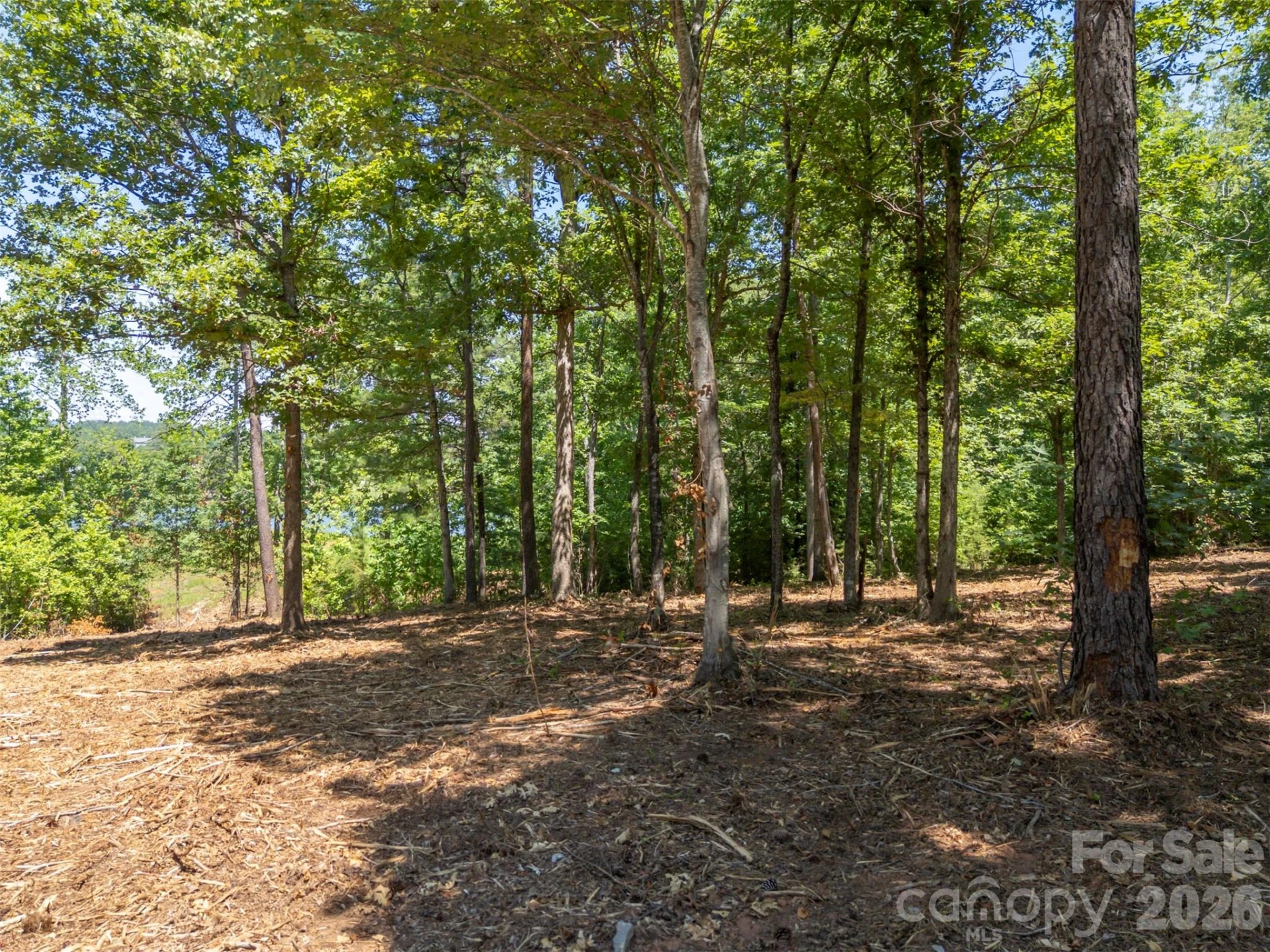 00 Doveridge Drive #66 - Photo 13