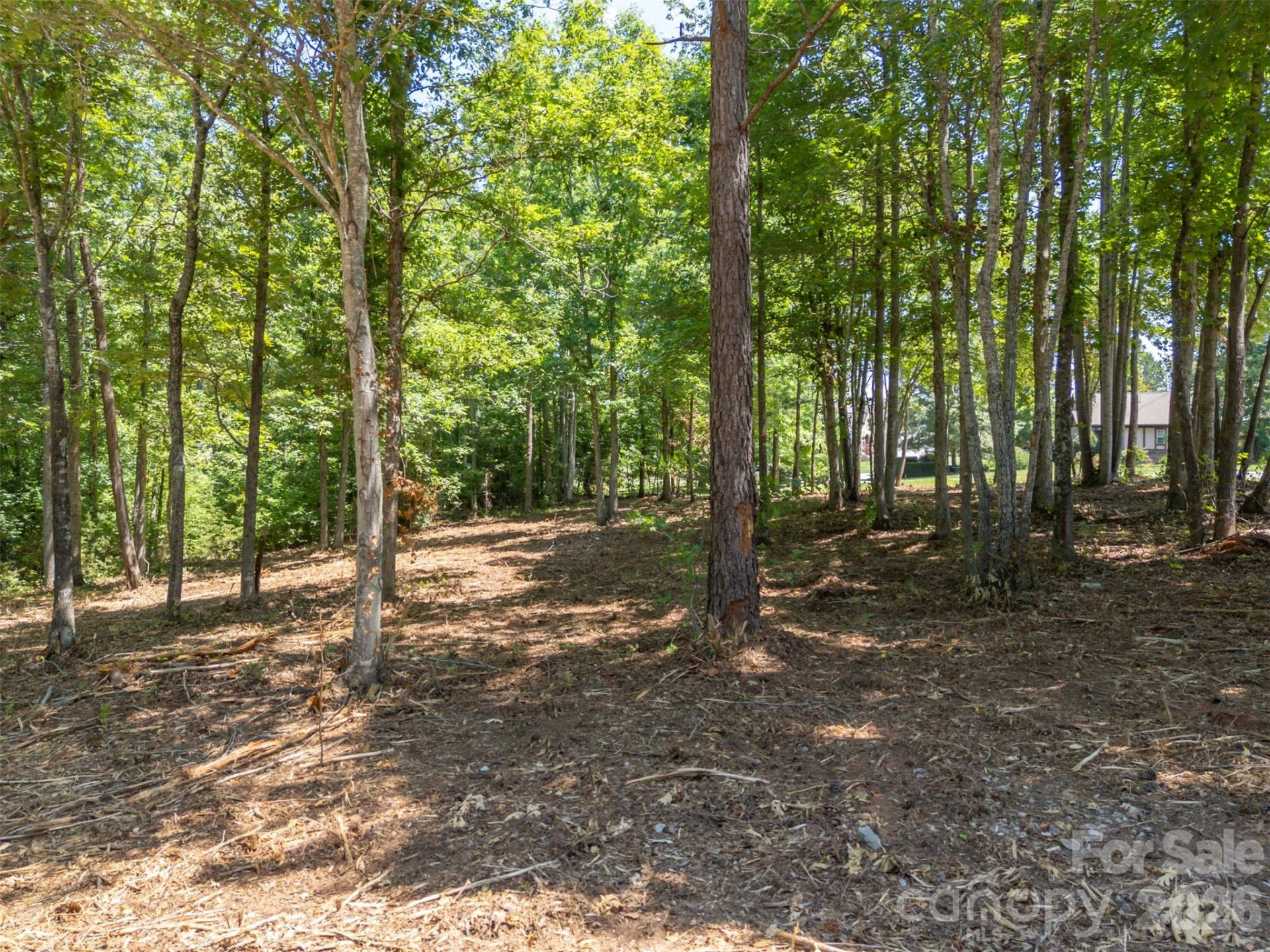 00 Doveridge Drive #66 - Photo 14