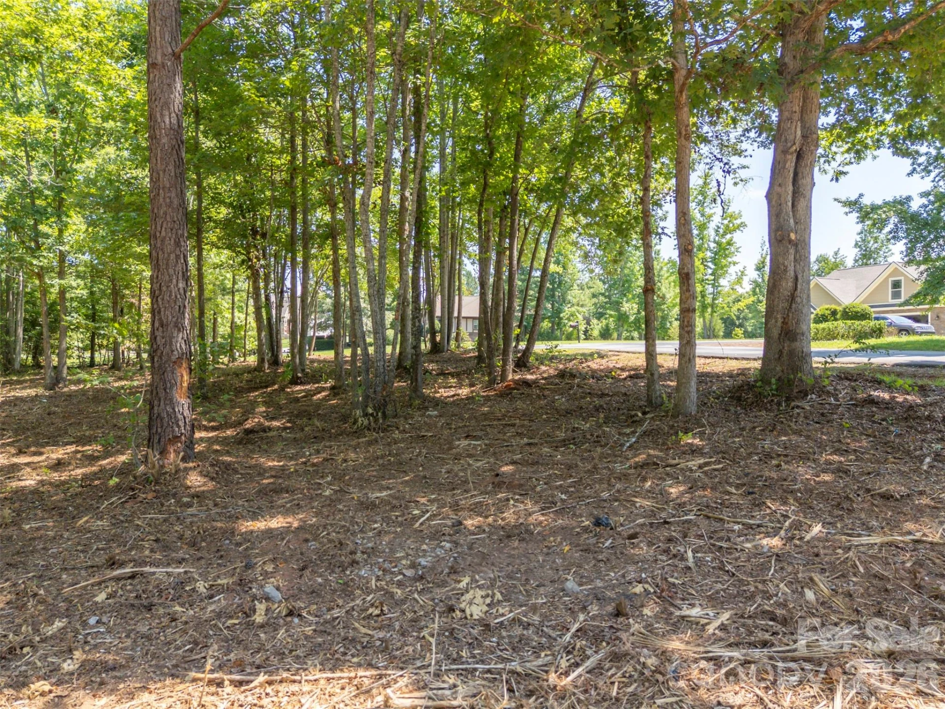 00 Doveridge Drive #66 - Photo 15