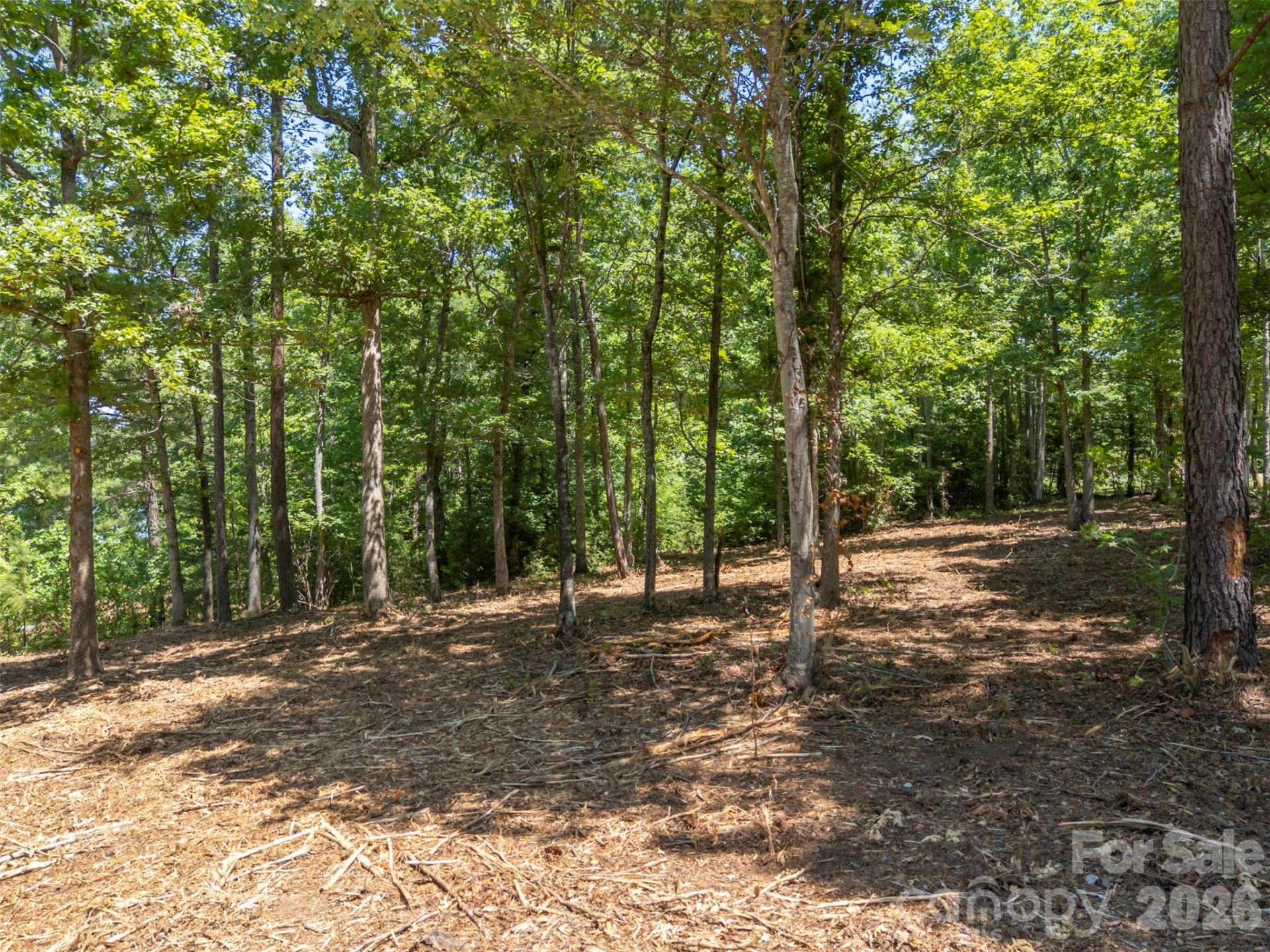 00 Doveridge Drive #66 - Photo 16