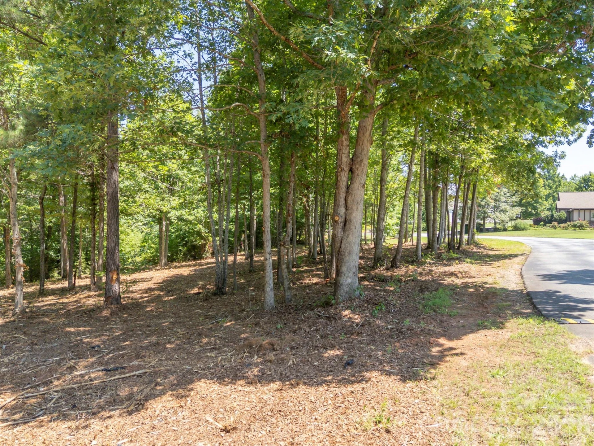 00 Doveridge Drive #66 - Photo 17