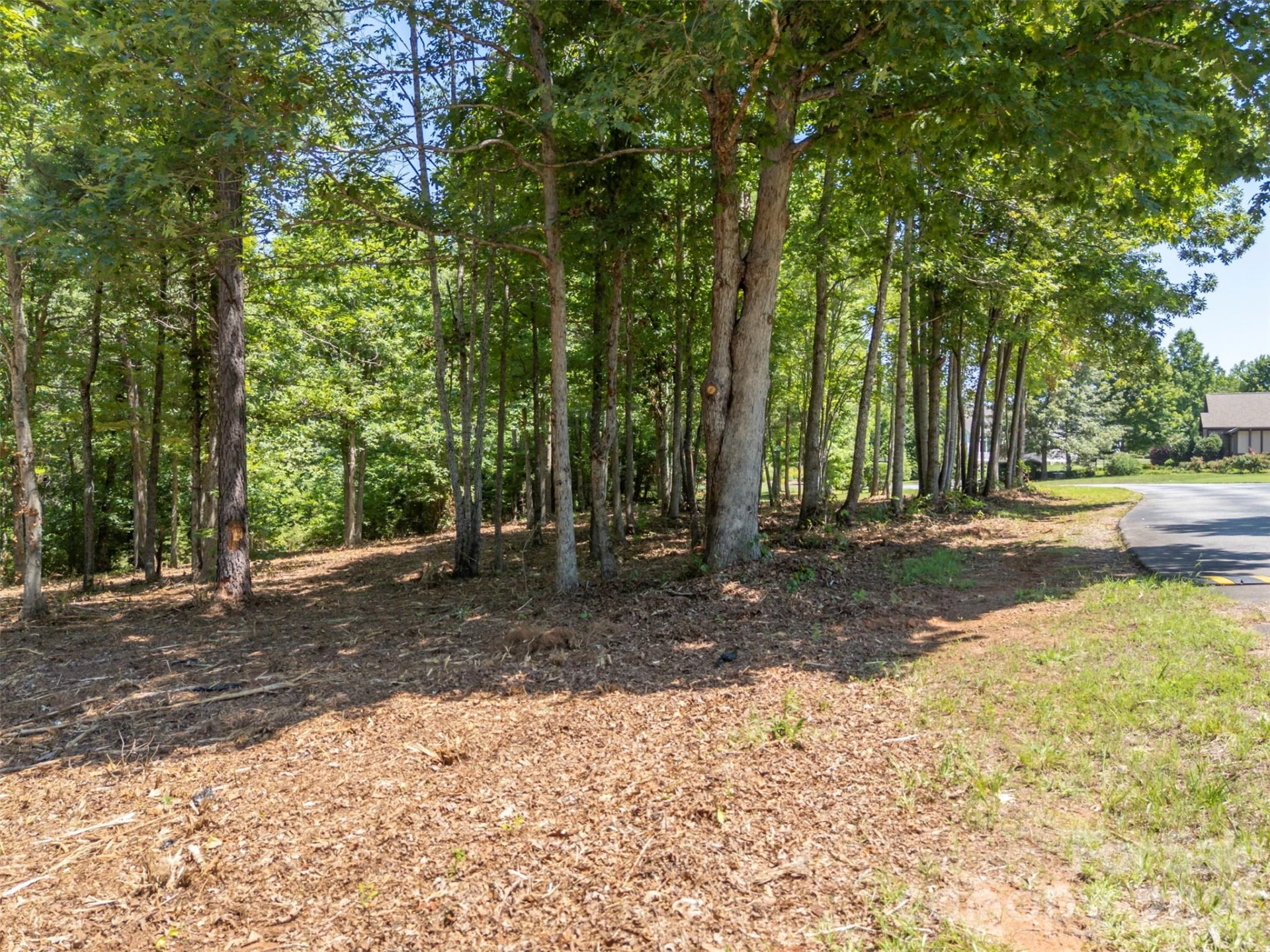 00 Doveridge Drive #66 - Photo 18