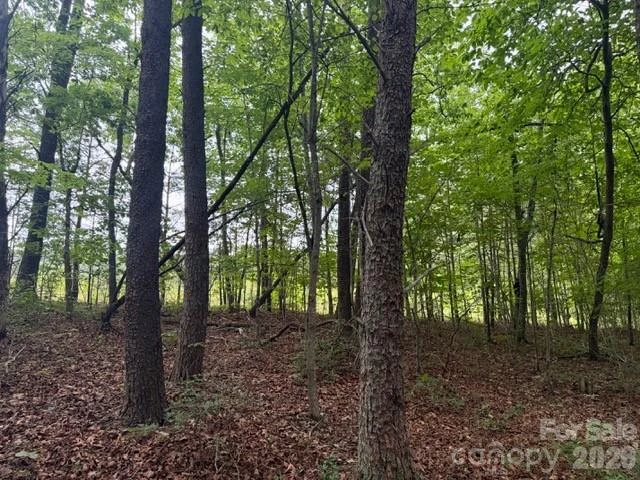 00 Bill Collins Road - Photo 2