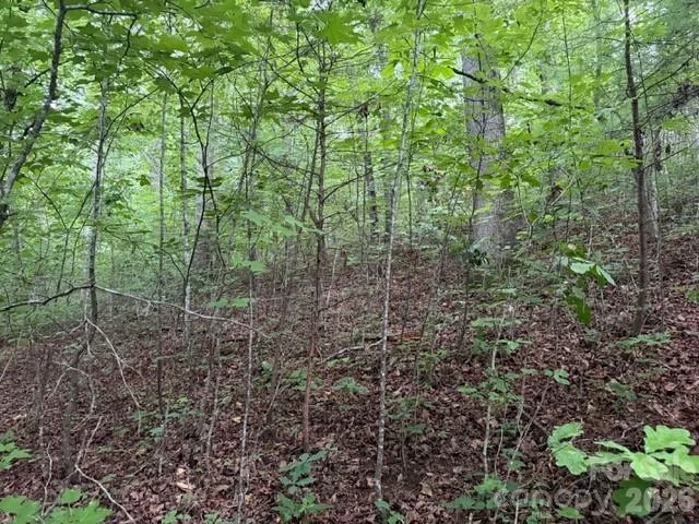 00 Bill Collins Road - Photo 11