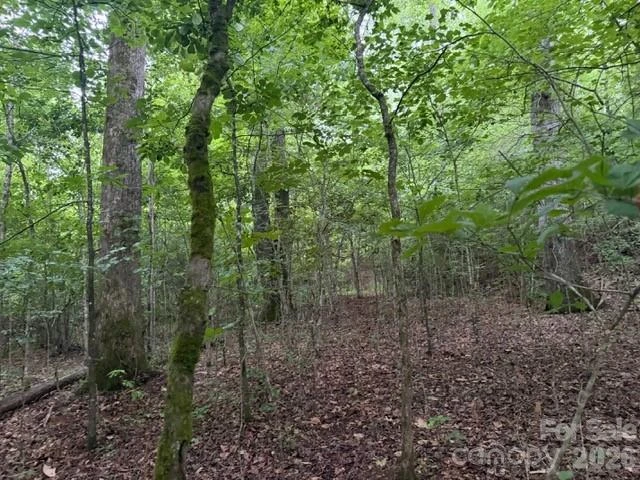 00 Bill Collins Road - Photo 12