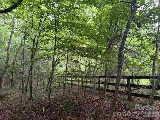 00 Bill Collins Road - Photo 13