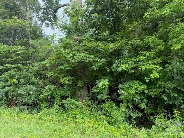 00 Bill Collins Road - Photo 14